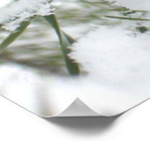 Snowy Pine Cone I冬自然撮影 ポスター (角)