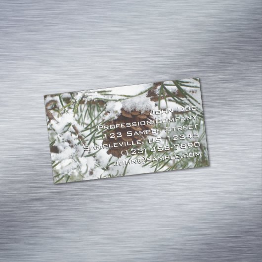 Snowy Pine Cone I冬自然撮影 マグネット名刺 (インサイチュ)