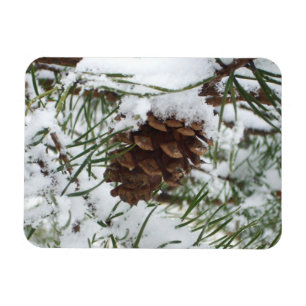 Snowy Pine Cone I冬自然撮影 マグネット