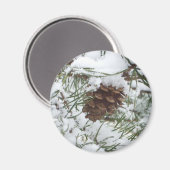 Snowy Pine Cone I冬自然撮影 マグネット (正面/裏面)