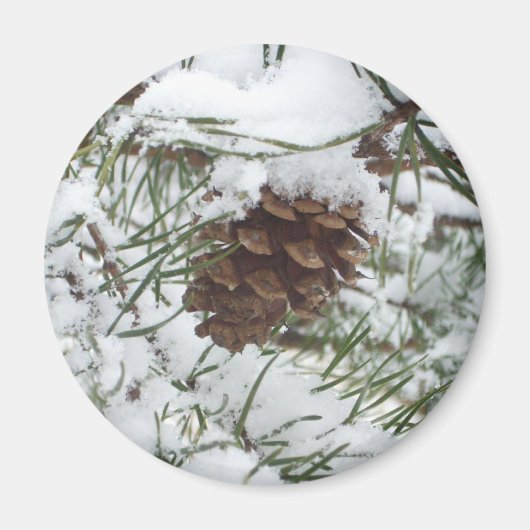 Snowy Pine Cone I冬自然撮影 マグネット (正面)