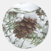 Snowy Pine Cone I冬自然撮影 ラウンドシール (正面)