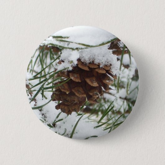 Snowy Pine Cone I冬自然撮影 缶バッジ (正面)
