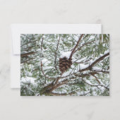 Snowy Pine Cone II冬の自然撮影 (正面)