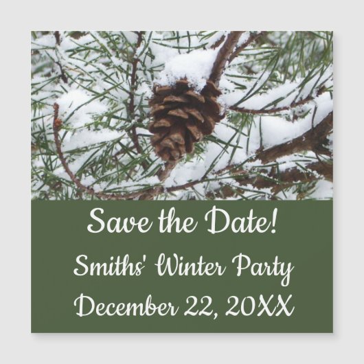 Snowy Pine Cone II冬の自然撮影 (正面)