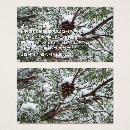 Snowy Pine Cone II冬の自然撮影 (正面&裏面)