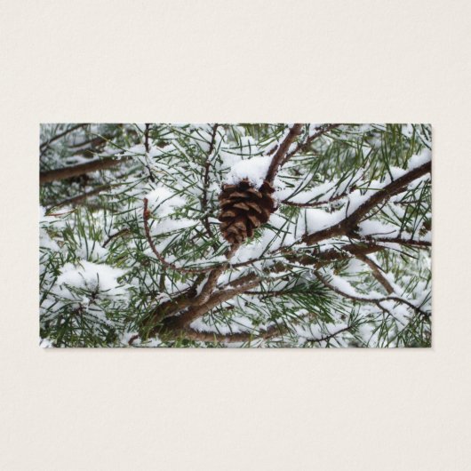 Snowy Pine Cone II冬の自然撮影 (裏面)