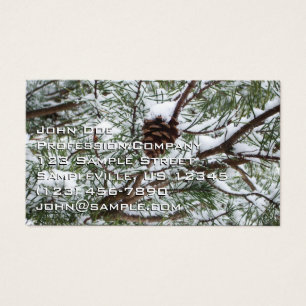 Snowy Pine Cone II冬の自然撮影