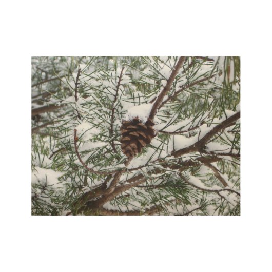 Snowy Pine Cone II冬の自然撮影 ウッドポスター (正面)