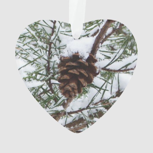 Snowy Pine Cone II冬の自然撮影 オーナメント (裏面)