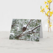 Snowy Pine Cone II冬の自然撮影 カード (黄色い花)