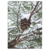 Snowy Pine Cone II冬の自然撮影 クリップボード (裏面)