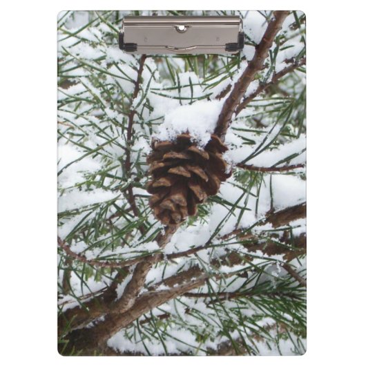 Snowy Pine Cone II冬の自然撮影 クリップボード (正面)