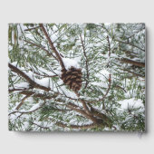 Snowy Pine Cone II冬の自然撮影 ゲストブック (裏面)