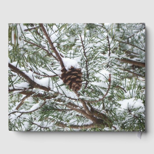 Snowy Pine Cone II冬の自然撮影 ゲストブック (裏面)