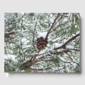 Snowy Pine Cone II冬の自然撮影 ゲストブック (正面)