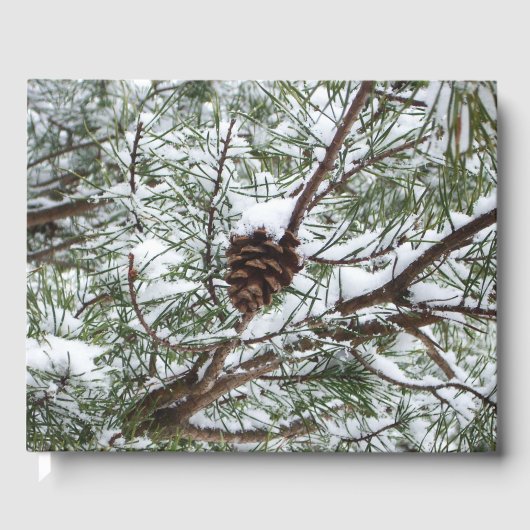 Snowy Pine Cone II冬の自然撮影 ゲストブック (正面)