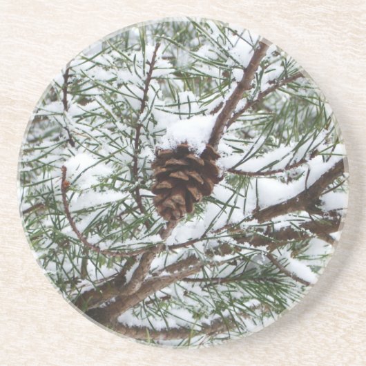 Snowy Pine Cone II冬の自然撮影 コースター (正面)