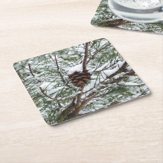 Snowy Pine Cone II冬の自然撮影 スクエアペーパーコースター (アングル)