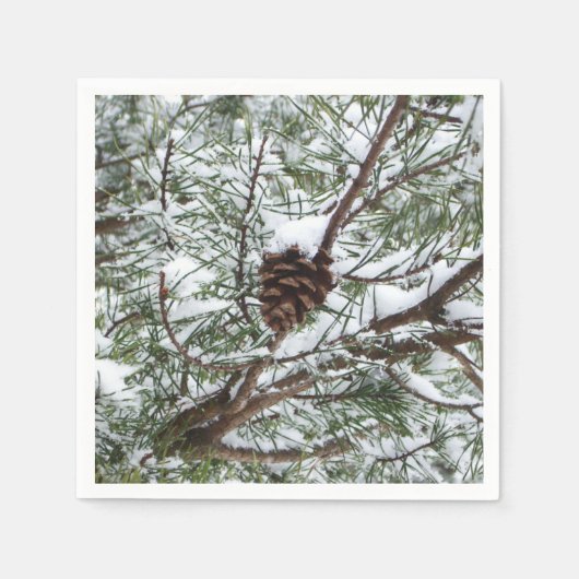 Snowy Pine Cone II冬の自然撮影 スタンダードカクテルナプキン (正面)