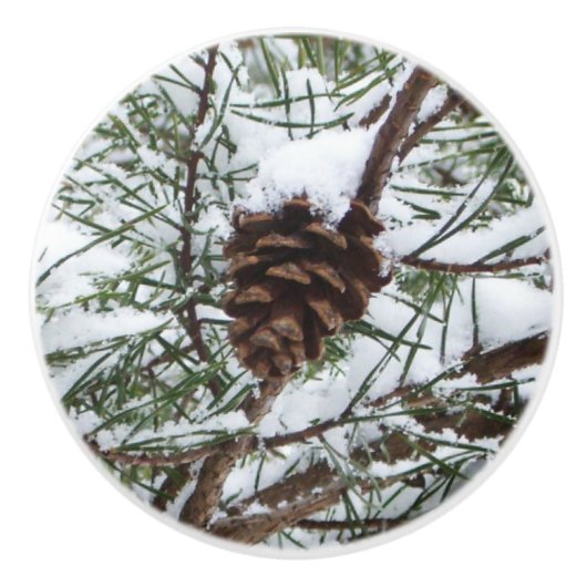 Snowy Pine Cone II冬の自然撮影 セラミックノブ (正面)