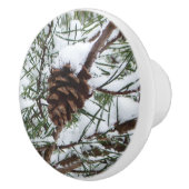 Snowy Pine Cone II冬の自然撮影 セラミックノブ (右)