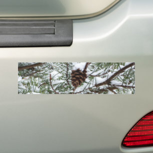 Snowy Pine Cone II冬の自然撮影 バンパーステッカー