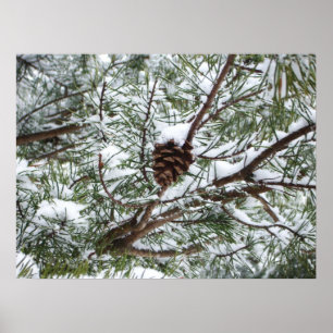Snowy Pine Cone II冬の自然撮影 ポスター