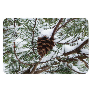 Snowy Pine Cone II冬の自然撮影 マグネット