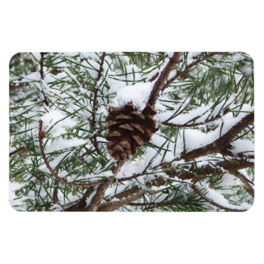 Snowy Pine Cone II冬の自然撮影 マグネット (横)