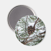 Snowy Pine Cone II冬の自然撮影 マグネット (正面/裏面)