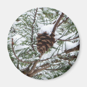 Snowy Pine Cone II冬の自然撮影 マグネット
