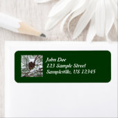 Snowy Pine Cone II冬の自然撮影 ラベル (インサイチュ)