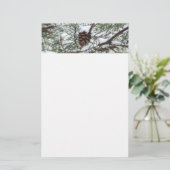 Snowy Pine Cone II冬の自然撮影 便箋 (スタンド正面)
