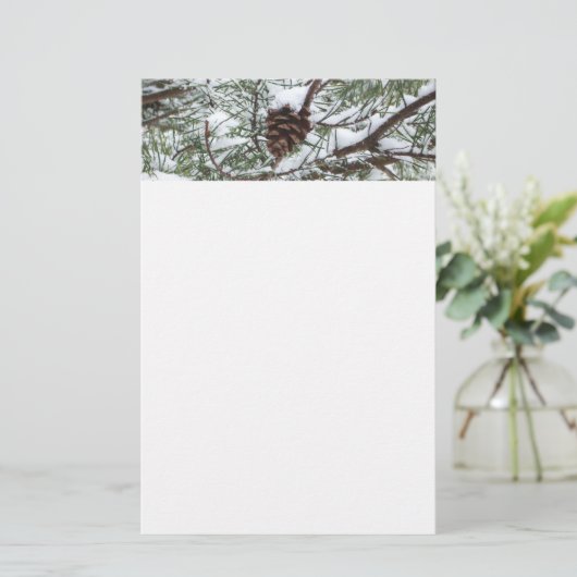 Snowy Pine Cone II冬の自然撮影 便箋 (スタンド正面)