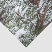 Snowy Pine Cone II冬の自然撮影 薄葉紙 (詳細)