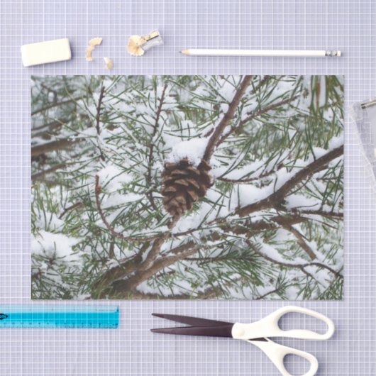 Snowy Pine Cone II冬の自然撮影 薄葉紙 (クラフト)