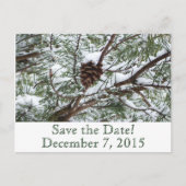 Snowy Pinecone日付の保存 案内ポストカード (正面)