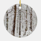 Snowy Poconoの不思議の国 セラミックオーナメント (裏面)