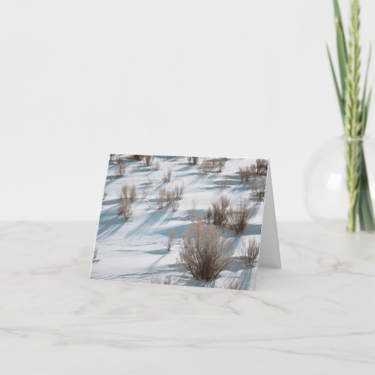Snowy Rabbitbrush - 4" x 5.6" Notecard サンキューカード (正面)