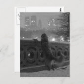 Snowy View from Bow Bridge-Central Parkポストカード ポストカード (正面/裏面)