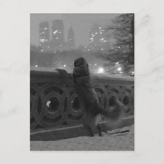 Snowy View from Bow Bridge-Central Parkポストカード ポストカード (正面)