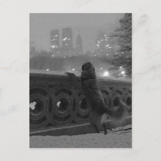"Snowy View from Bow Bridge" Central Park, NYC ポストカード (正面)