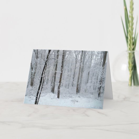 Snowy White Poplar Forest カード (正面)