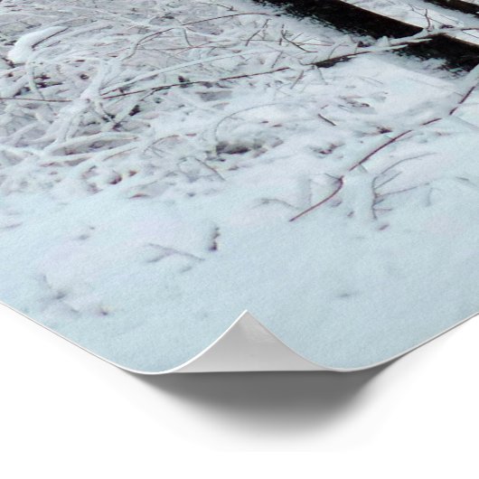 Snowy White Poplar Forest ポスター (角)