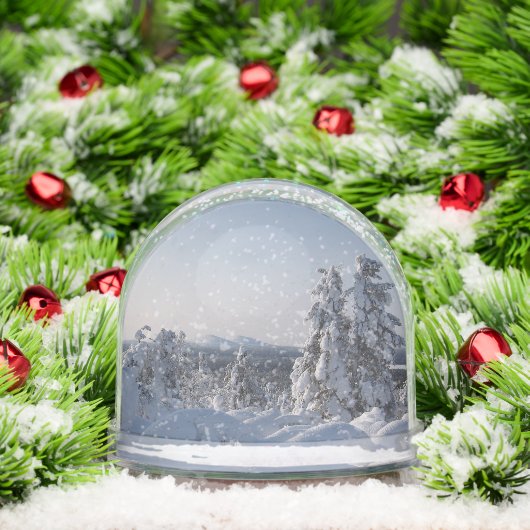 Snowy Winter Landscape (クリスマス)