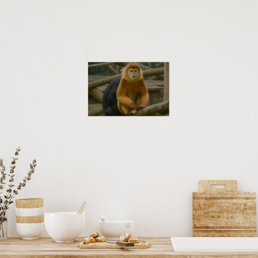 Snub-Nosed Monkey in Woodland Refuge ポスター (キッチン)