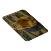 Snub-Nosed Monkey in Woodland Refuge マグネット (右側)