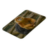 Snub-Nosed Monkey in Woodland Refuge マグネット (左側)