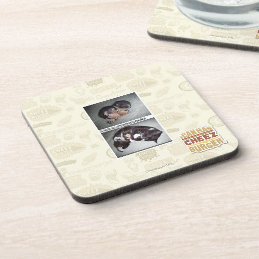 snuggies forebber izのhadzの氏 コースター (左側)